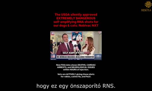 Kedvencek oltása: Önszaporító mRNS?