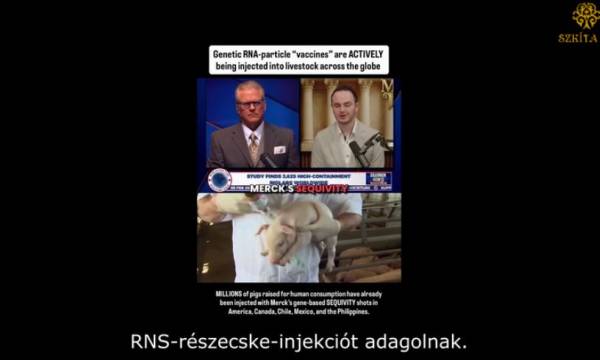 Hőkezeljük az mRNS-sel kezelt húsokat
